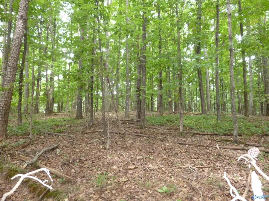 500 20th Street Sw, Fort Payne, AL 35967 - #3