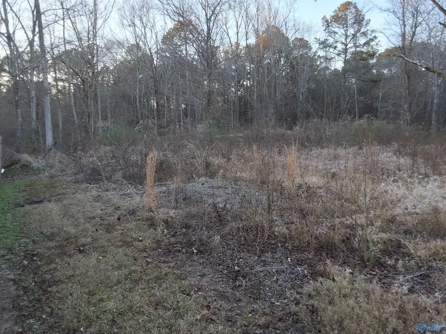 3.02 acres Euclid Road, Gadsden, AL 35903 - #2