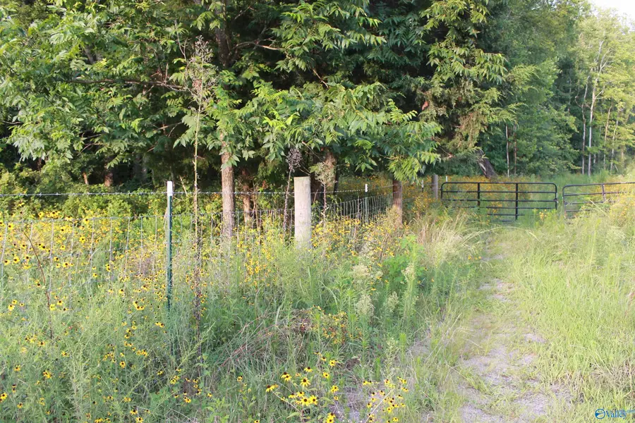 40.5 South Danville Road, Danville, AL 35619 - #2
