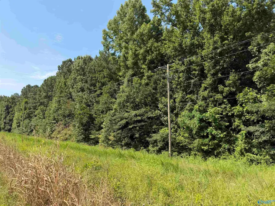Lot 2 Meighan Boulevard, Gadsden, AL 35903 - #2
