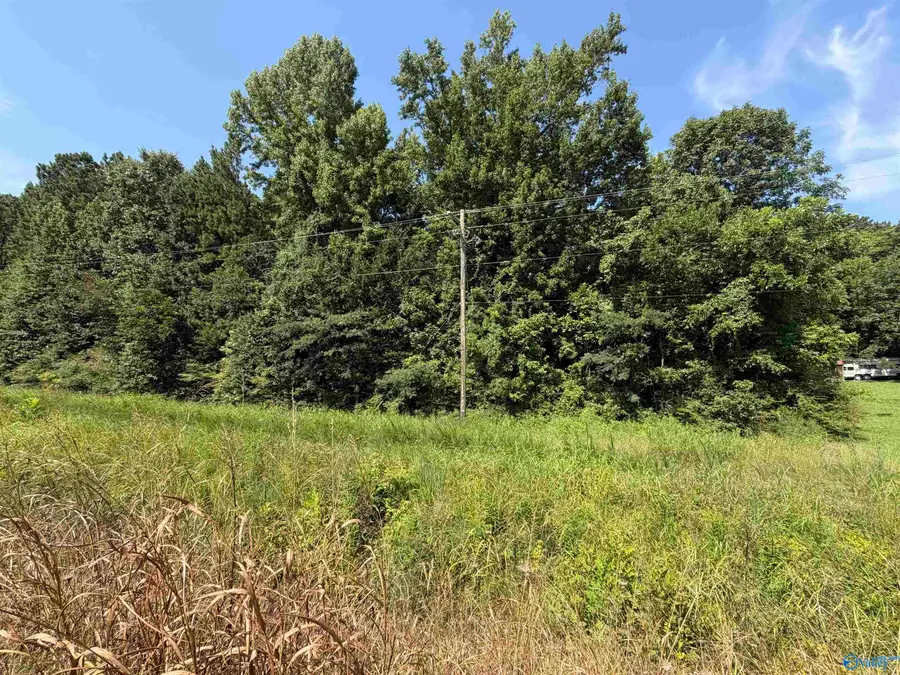 Lot 2 Meighan Boulevard, Gadsden, AL 35903 - #3
