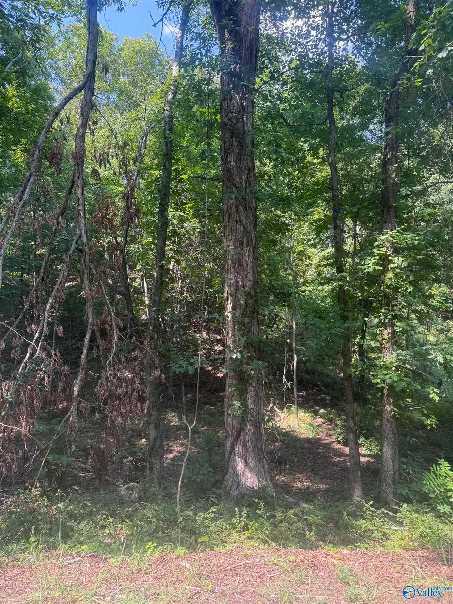 Pin 4158 County Road 136, Cedar Bluff, AL 35959 - #2