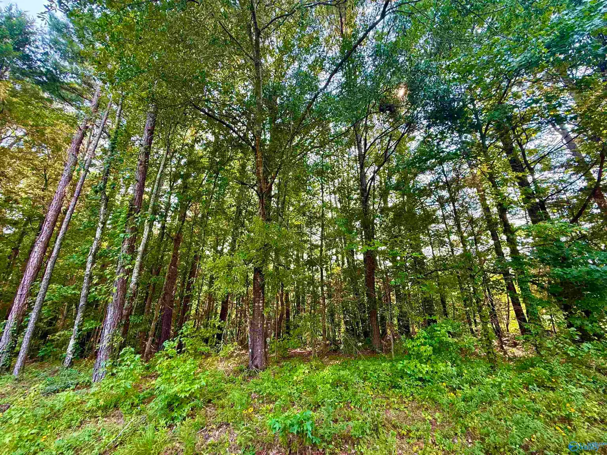 3 Acres Herbert Road, Hartselle, AL 35640 - #1