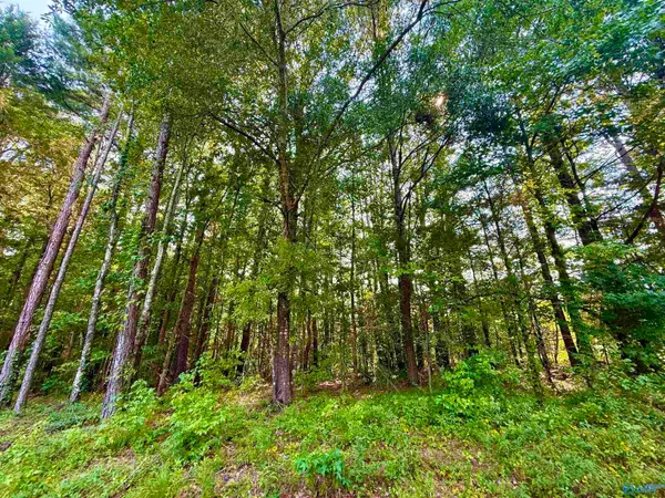 3 Acres Herbert Road, Hartselle, AL 35640