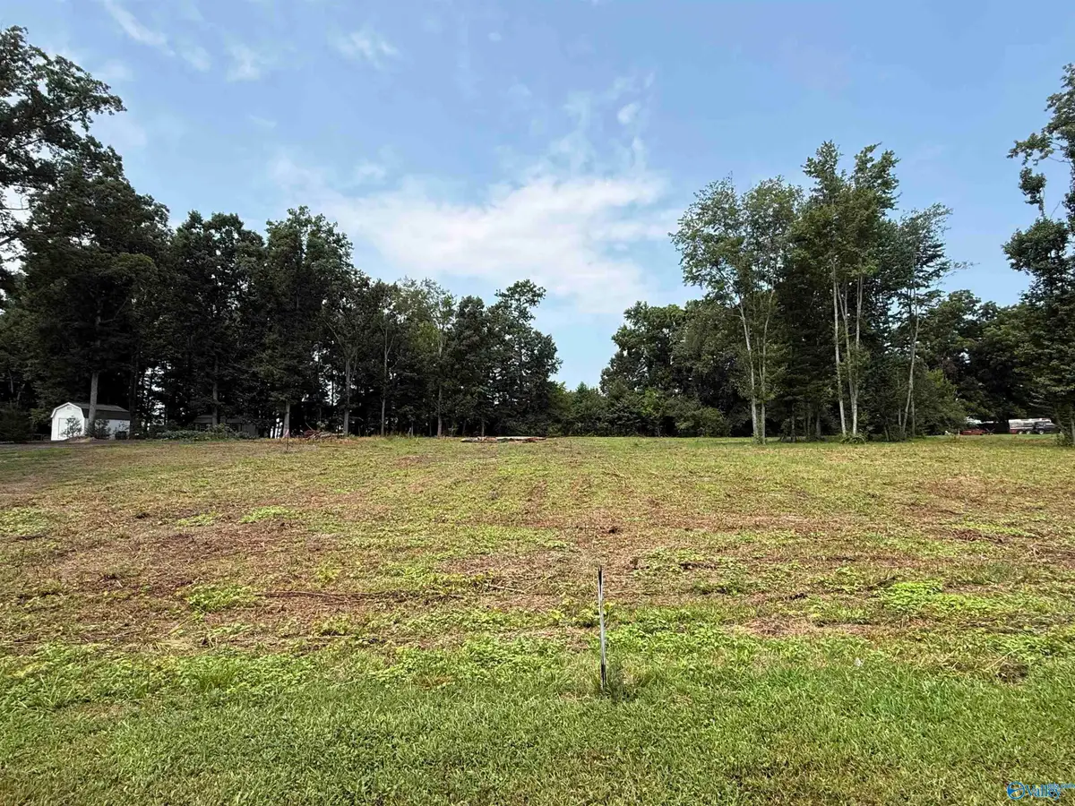 .75 Walker Drive, Arab, AL 35016 - #1