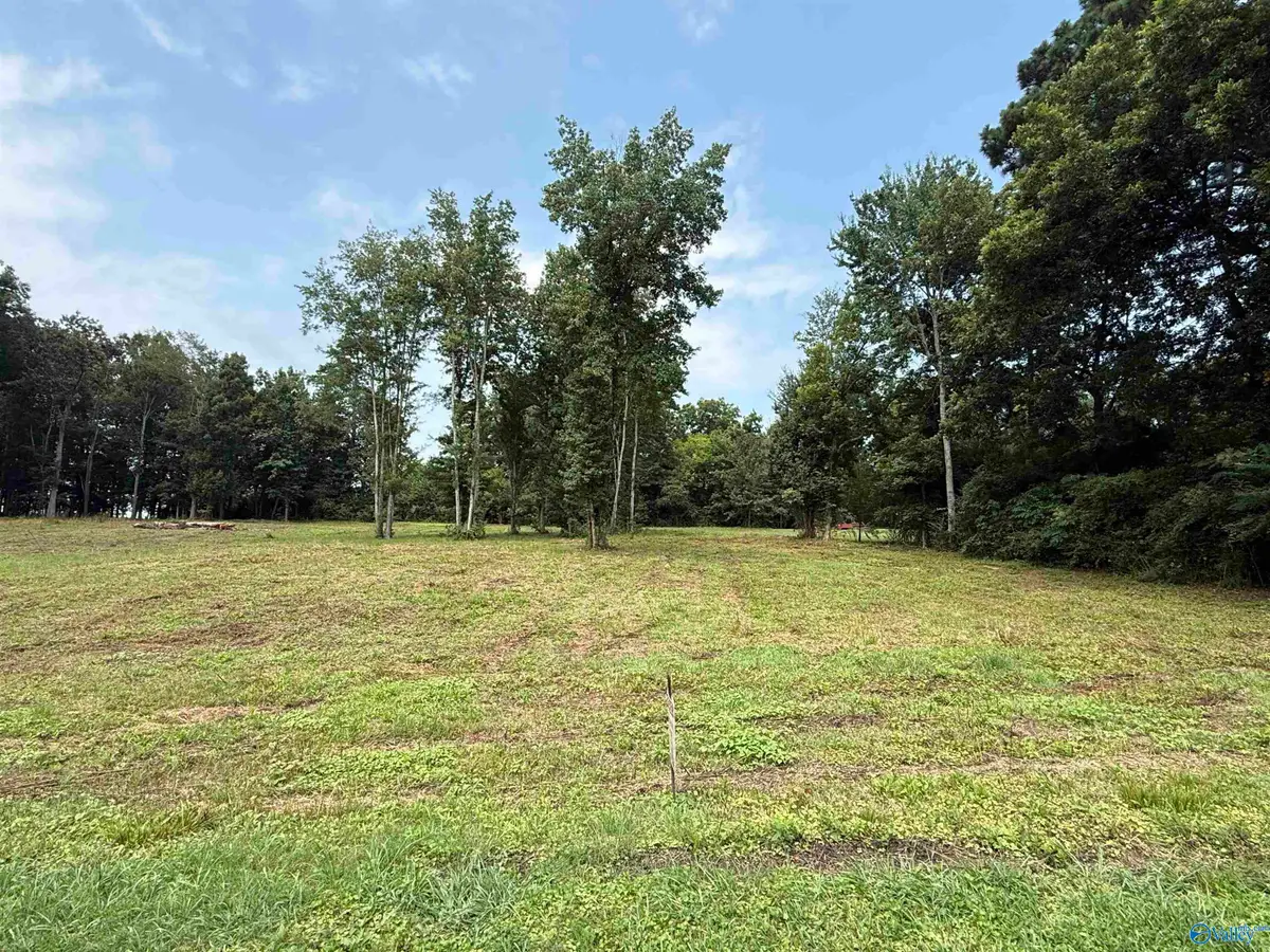 .75 acre Walker Drive, Arab, AL 35016 - #1