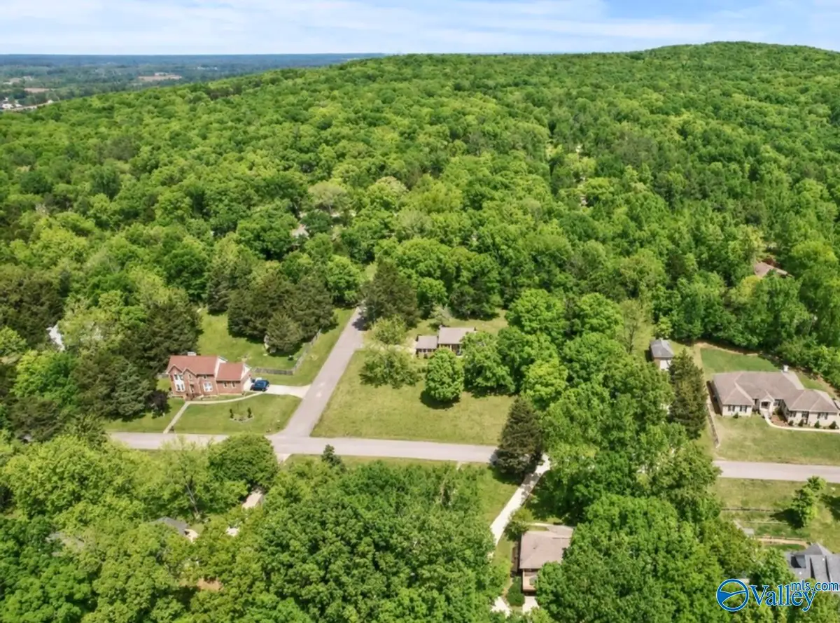 120 Deer Run Lane, Harvest, AL 35749 - #1
