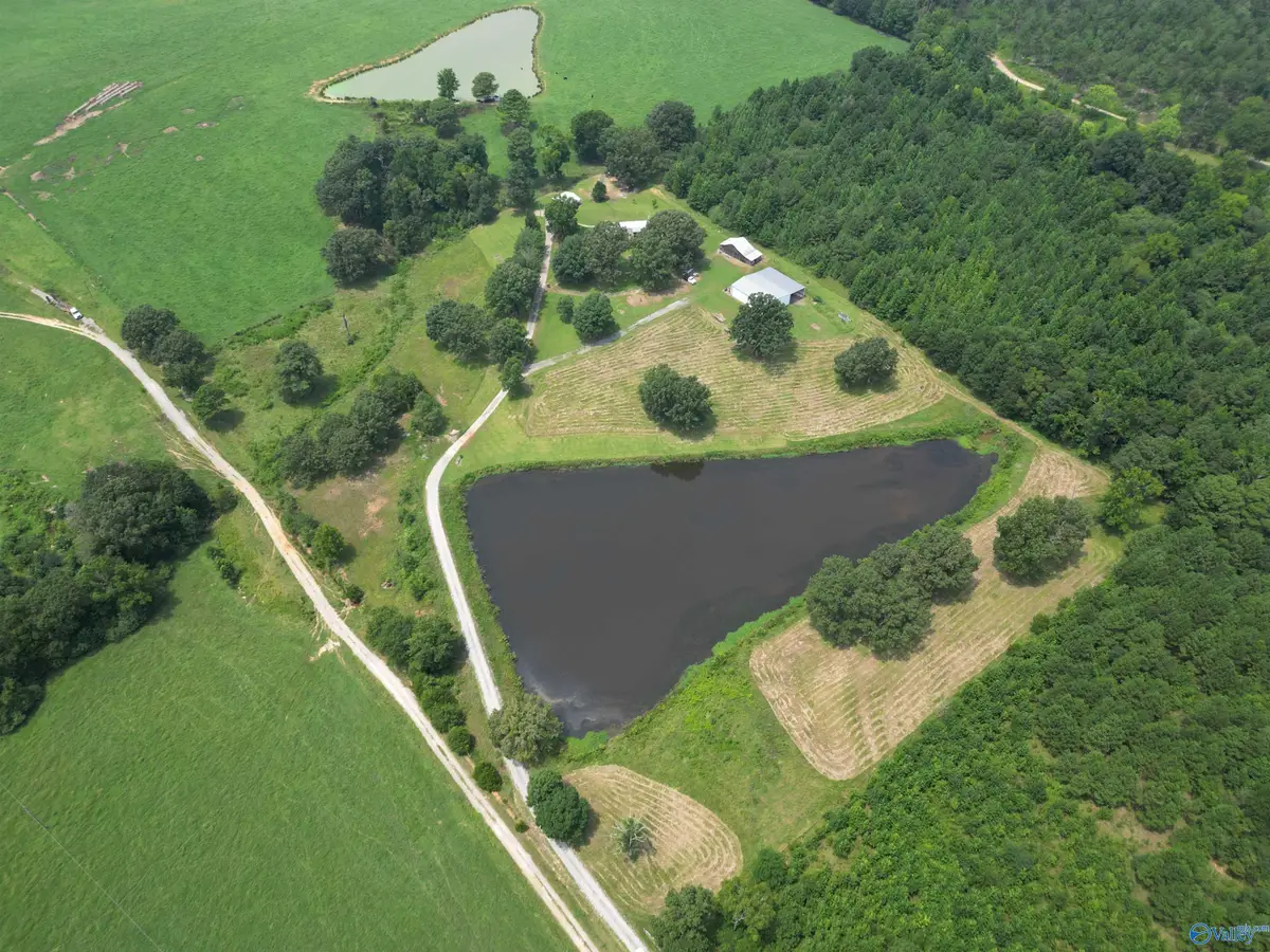 315 County Road 250, Moulton, AL 35650 - #1