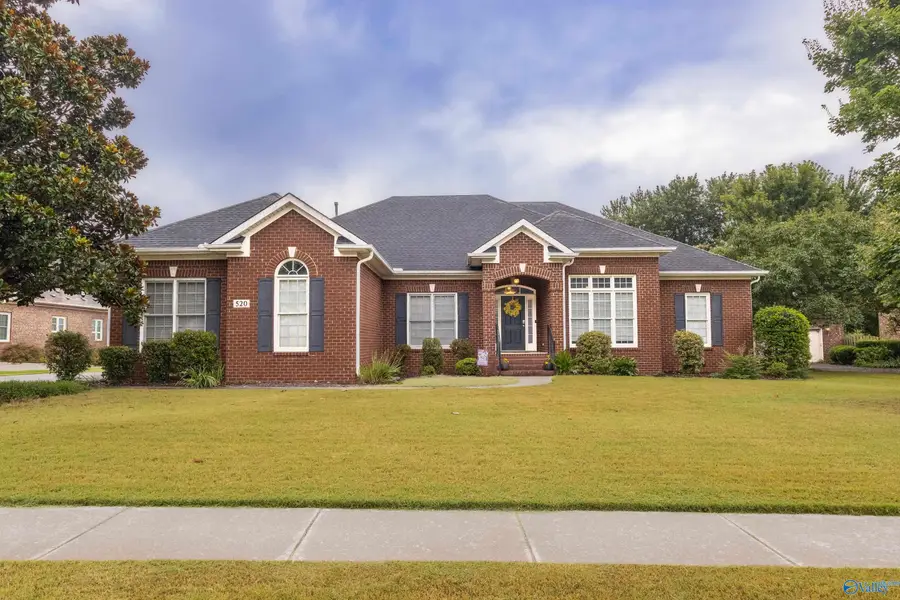 520 Thoreau Spring Court, Madison, AL 35758 - #2
