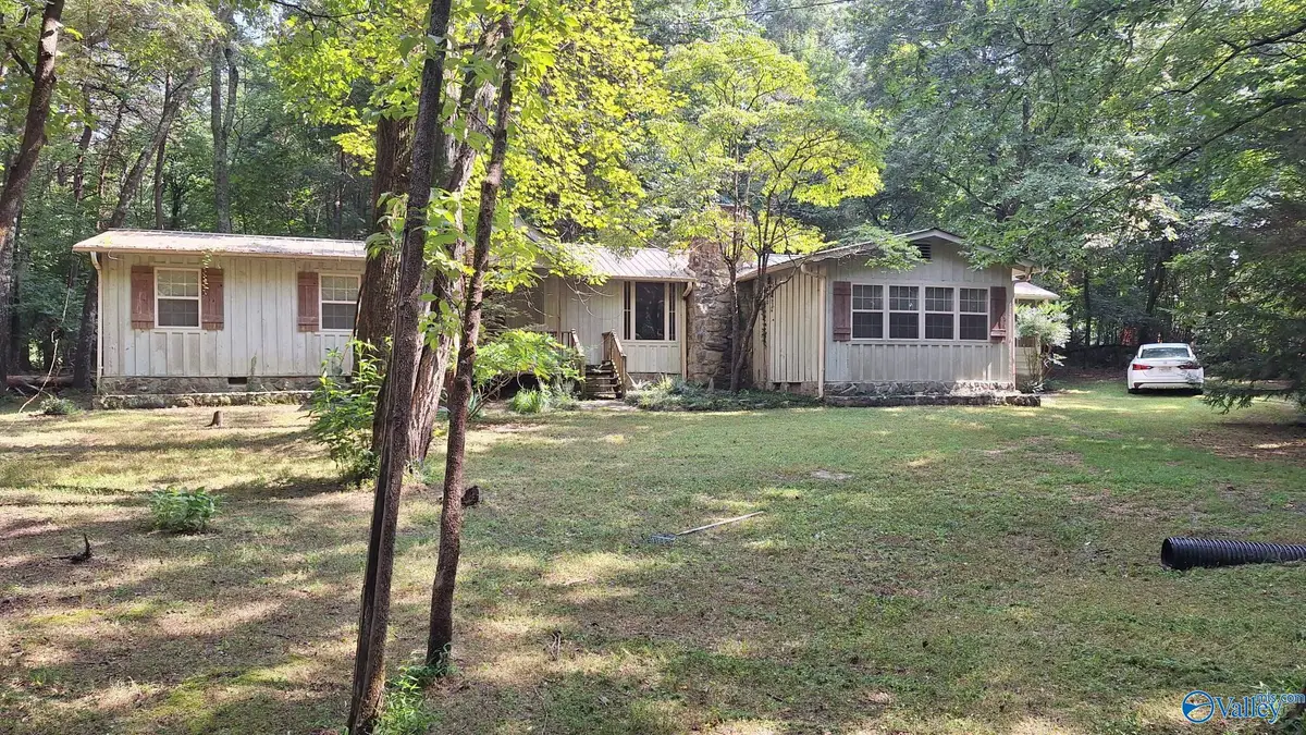 16654 County Road 89, Mentone, AL 35984 - #1