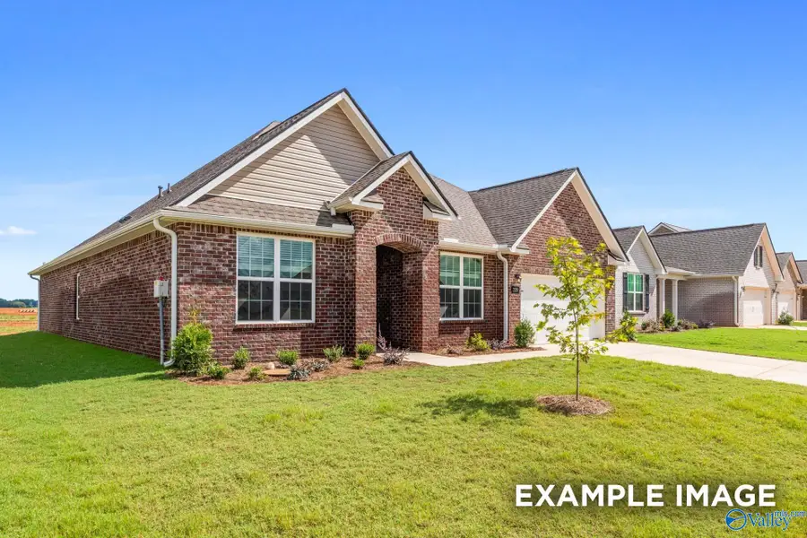 141 Cowdray Circle, Toney, AL 35773 - #2