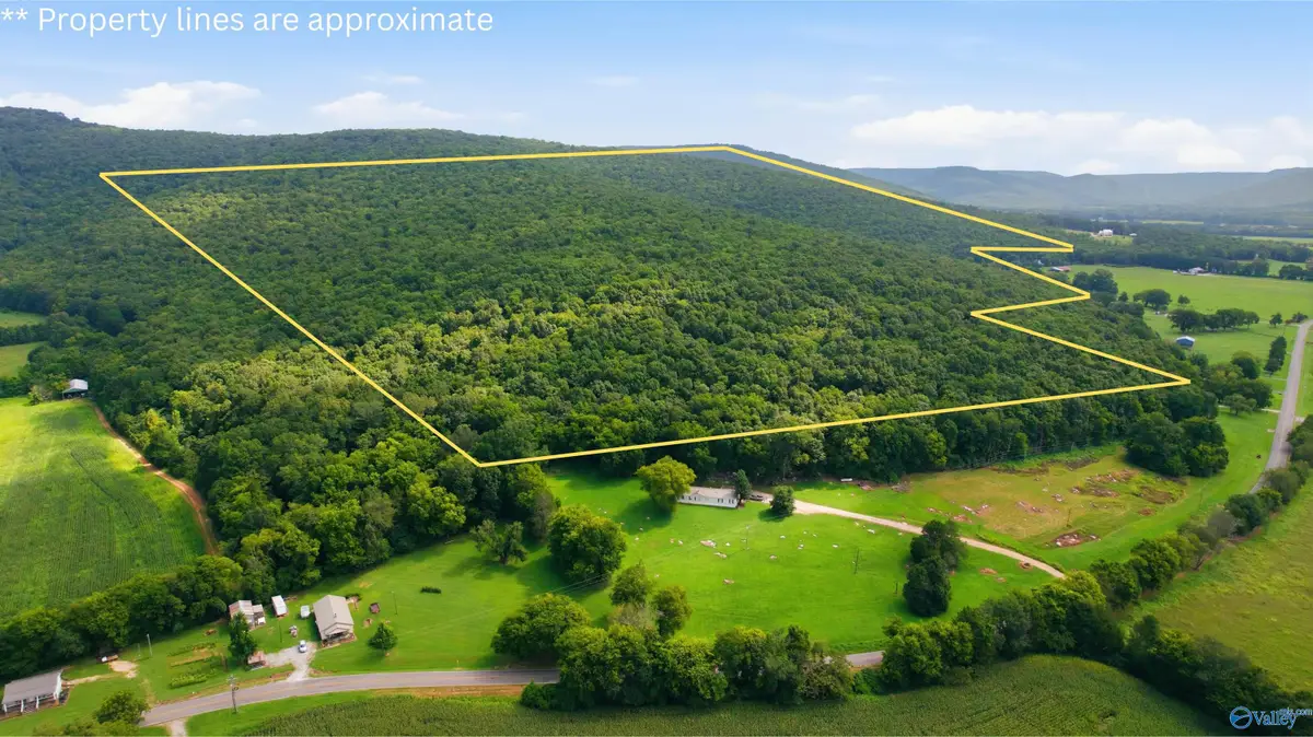 264 Acres Alabama Highway 65, Paint Rock, AL 35764 - #1