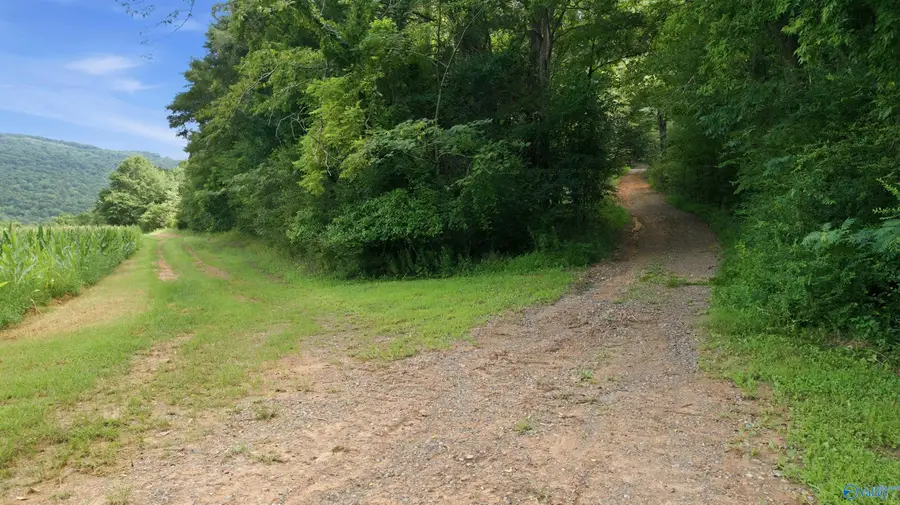 264 Acres Alabama Highway 65, Paint Rock, AL 35764 - #2