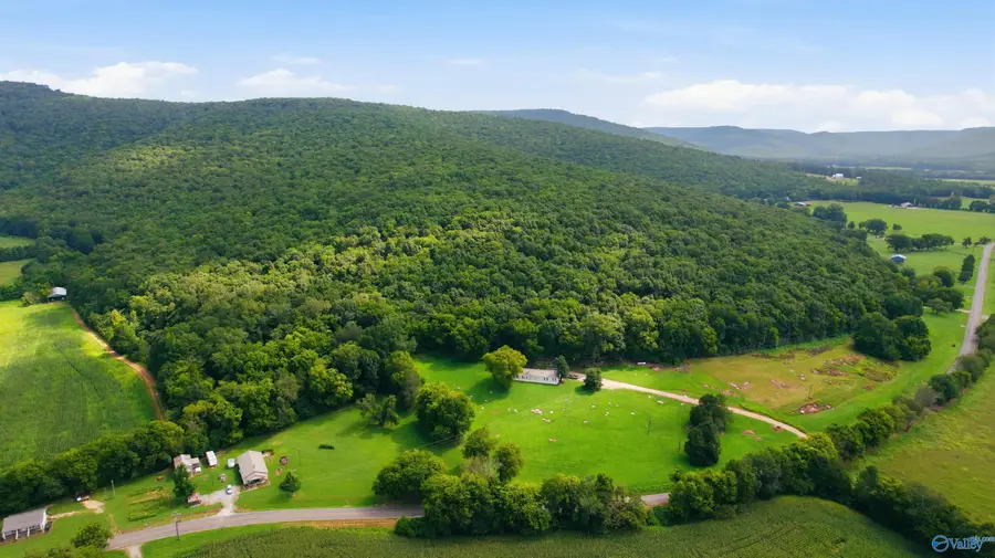 264 Acres Alabama Highway 65, Paint Rock, AL 35764 - #3