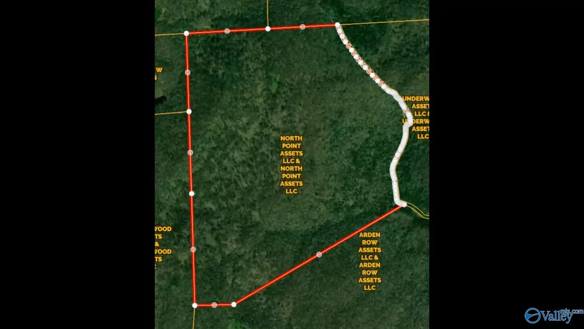 296 Acres County Road 106, Paint Rock, AL 35764 - #1
