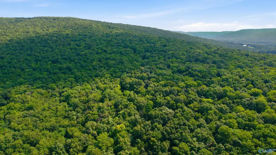 296 Acres County Road 106, Paint Rock, AL 35764 - #2