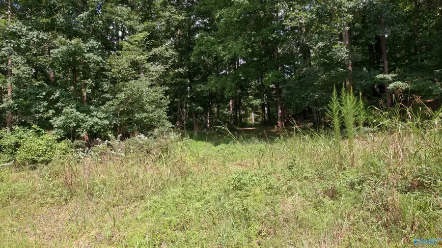 296 Acres County Road 106, Paint Rock, AL 35764 - #3