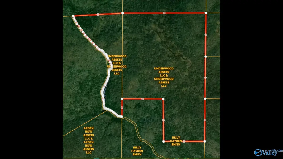 252 Acres County Road 106, Paint Rock, AL 35764 - #1