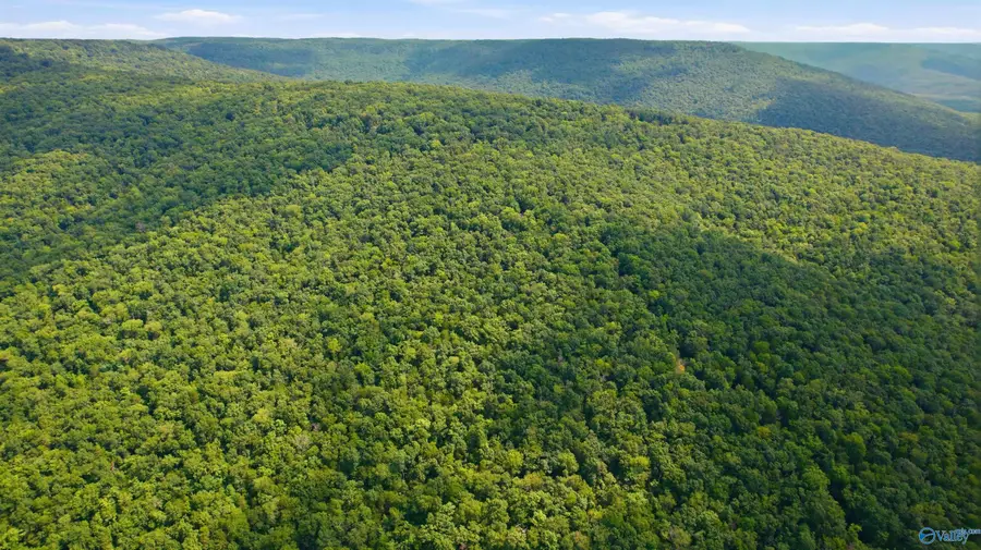 252 Acres County Road 106, Paint Rock, AL 35764 - #2