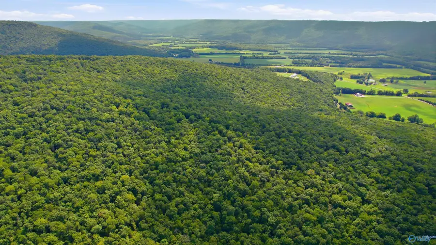 252 Acres County Road 106, Paint Rock, AL 35764 - #3