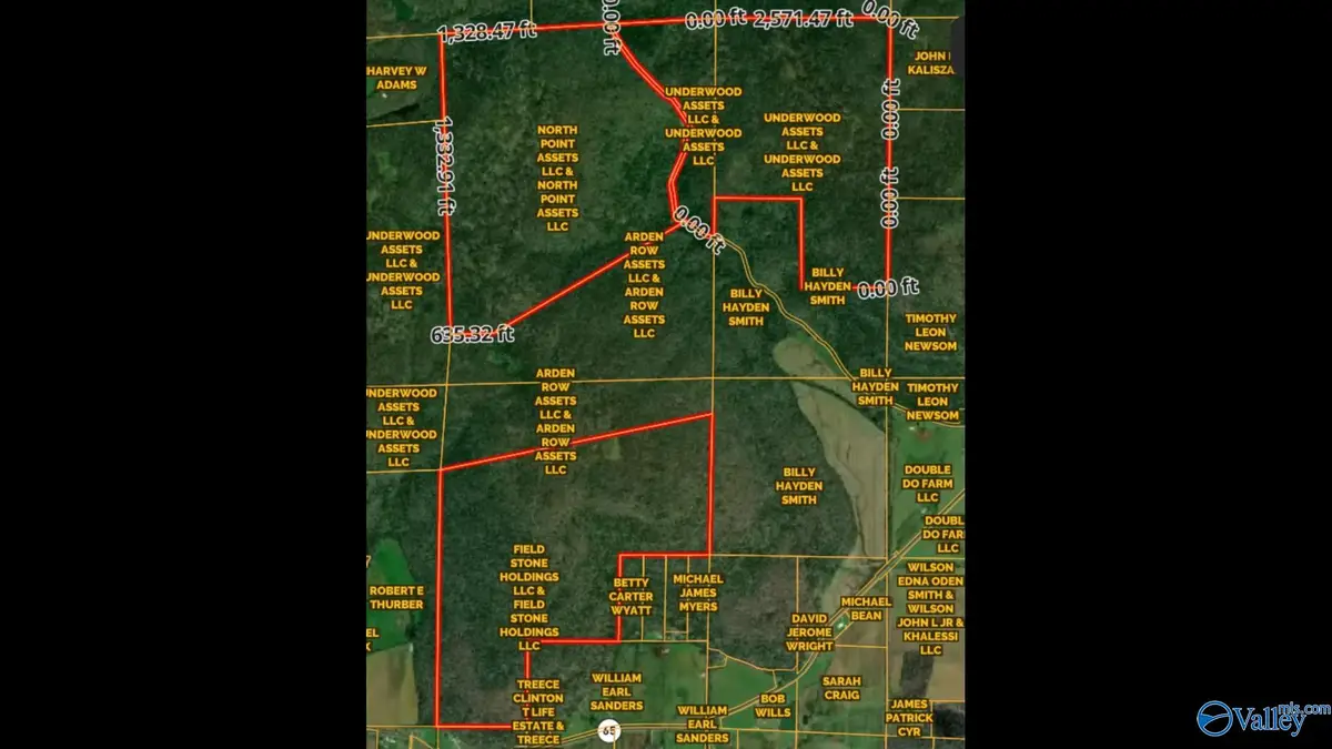 813 Acres Alabama Highway 65, Paint Rock, AL 35764 - #1