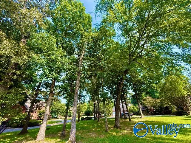 1551 Blackhall Lane, Decatur, AL 35601 - #2