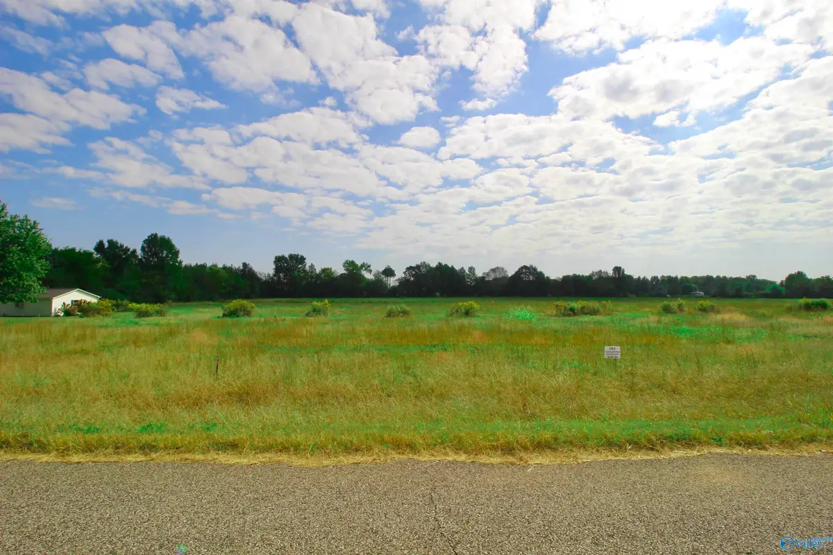 17240 Red Hill Road, Athens, AL 35611 - #1