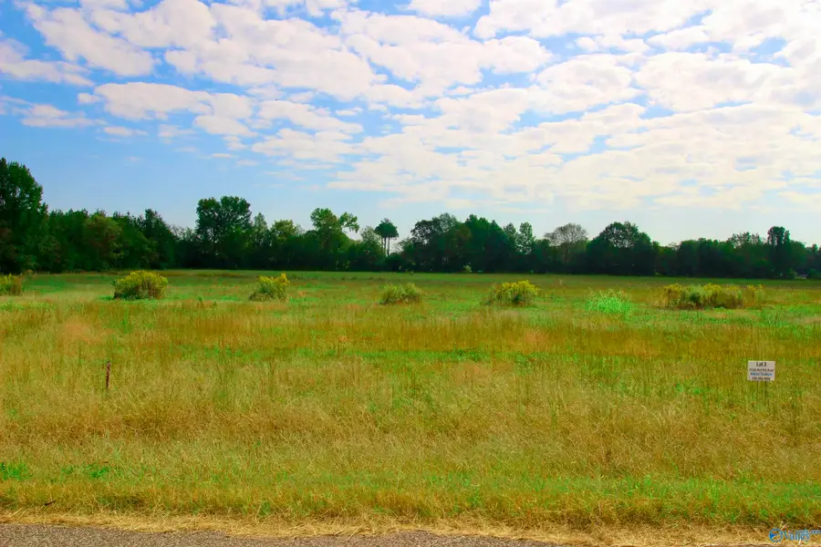 17240 Red Hill Road, Athens, AL 35611 - #3