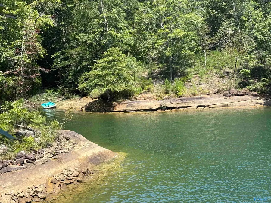 41 Acres Big Bear Branch Road, Double Springs, AL 35553 - #2