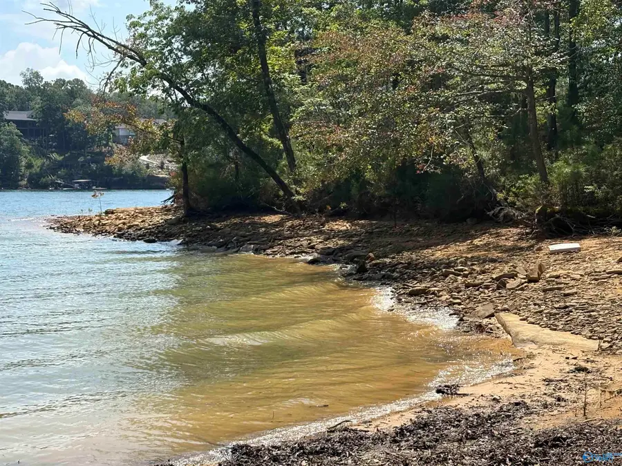 41 Acres Big Bear Branch Road, Double Springs, AL 35553 - #3