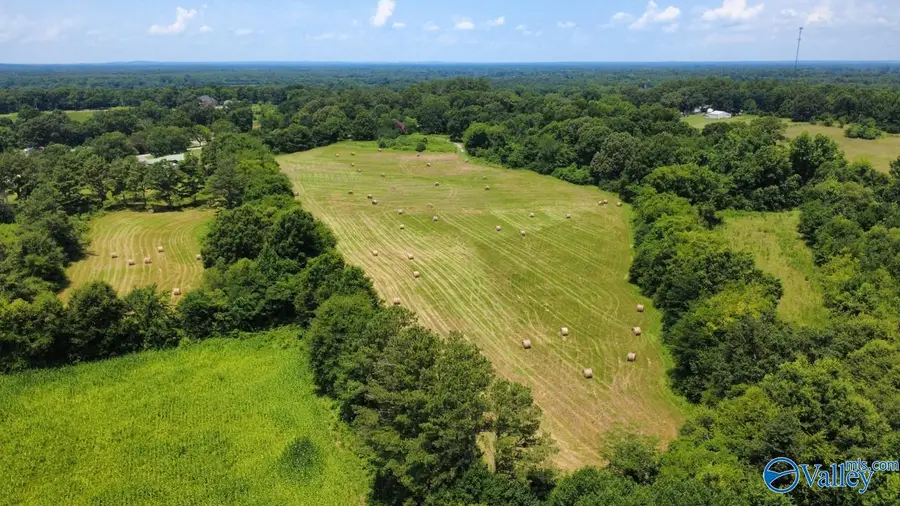 2404 Alabama Highway 101, Town Creek, AL 35672 - #2