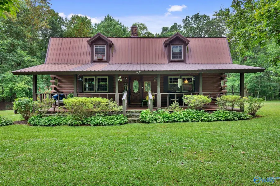 684 Mardis Point Road, Baileyton, AL 35019 - #3