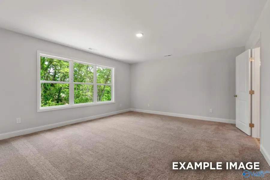238 Irish Hill Drive, Meridianville, AL 35759 - #2