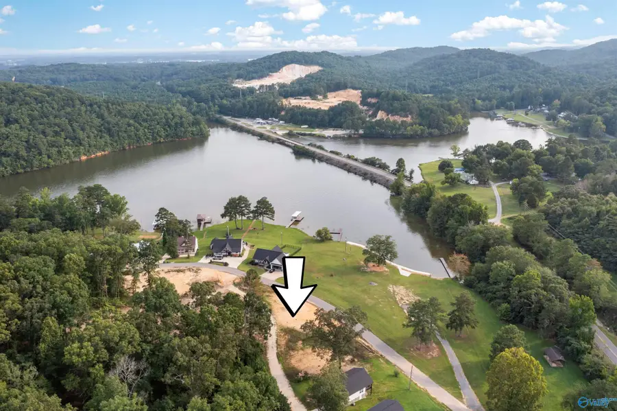 3-5 Paradise Ridge Road, Leesburg, AL 35983 - #3