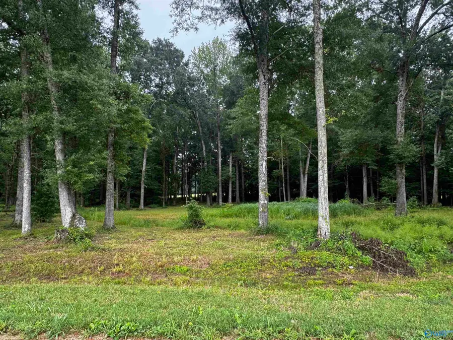 7AC Oakley Chapel Road, New Market, AL 35761 - #2