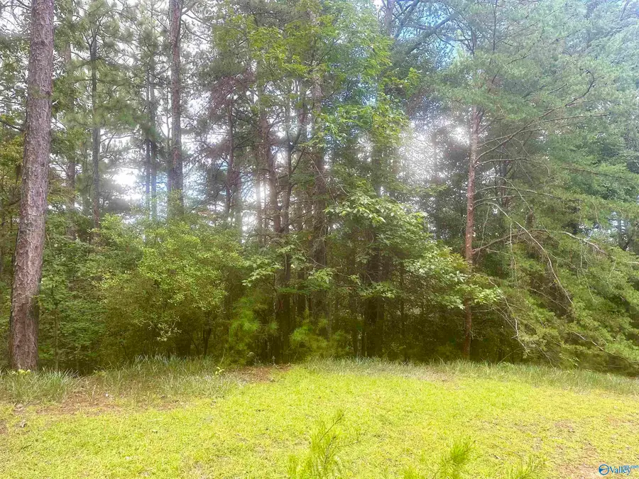 7909 Harbor Avenue Ne, Tuscaloosa, AL 35406 - #2
