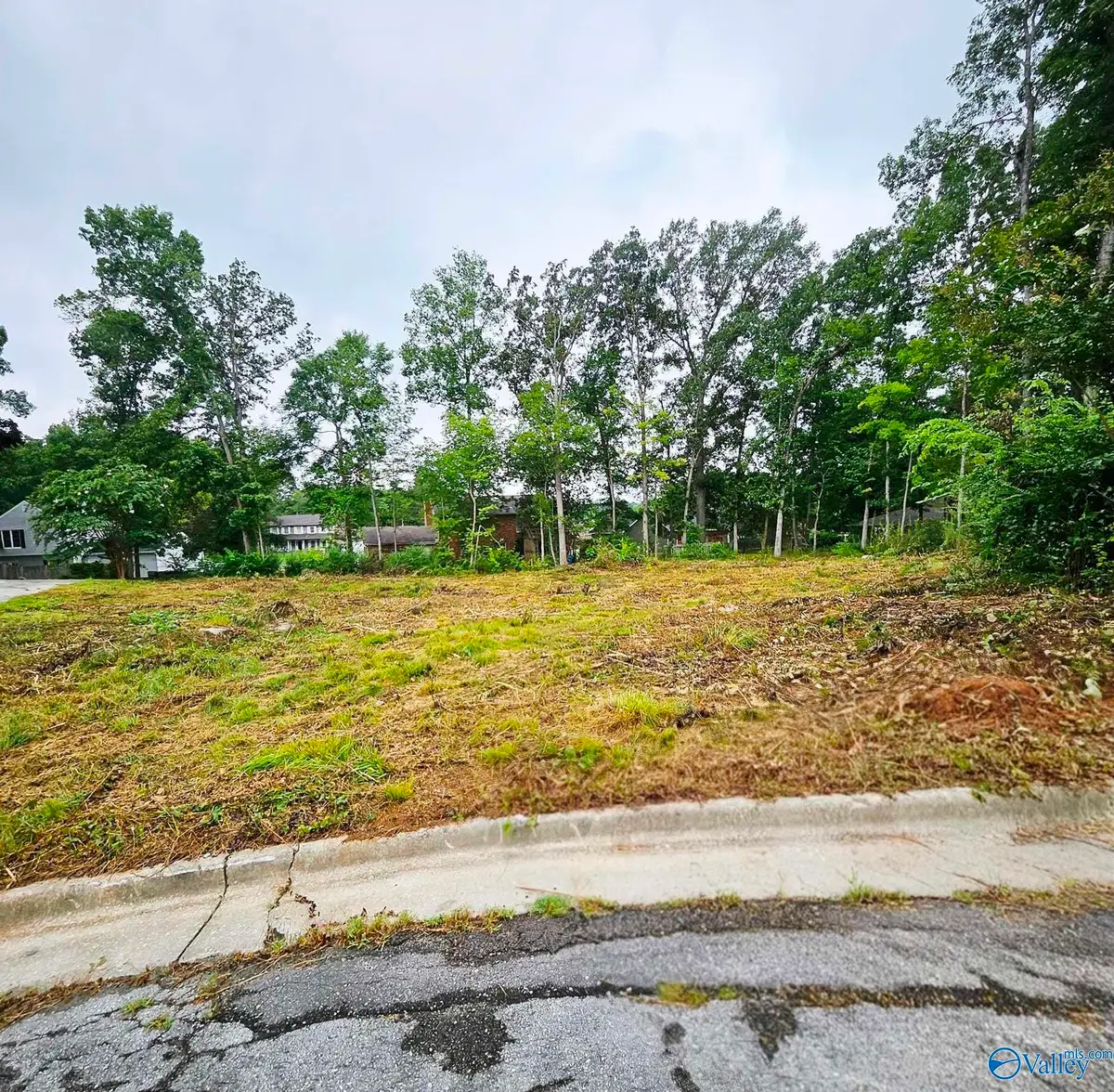 3216 Leafwood Place Sw, Decatur, AL 35603 - #1