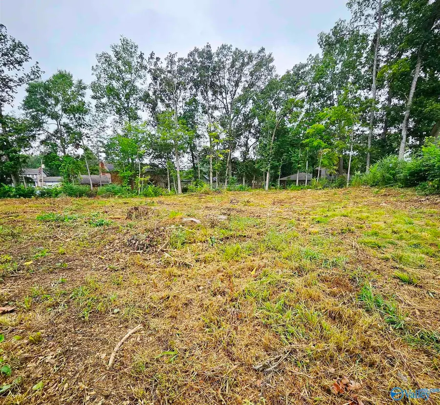 3216 Leafwood Place Sw, Decatur, AL 35603 - #3