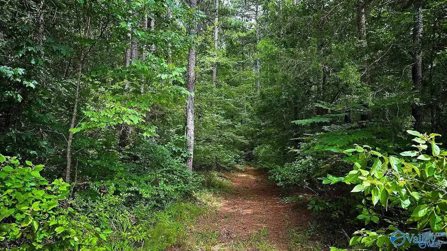 3832 S Woodtrail, Decatur, AL 35603 - #2