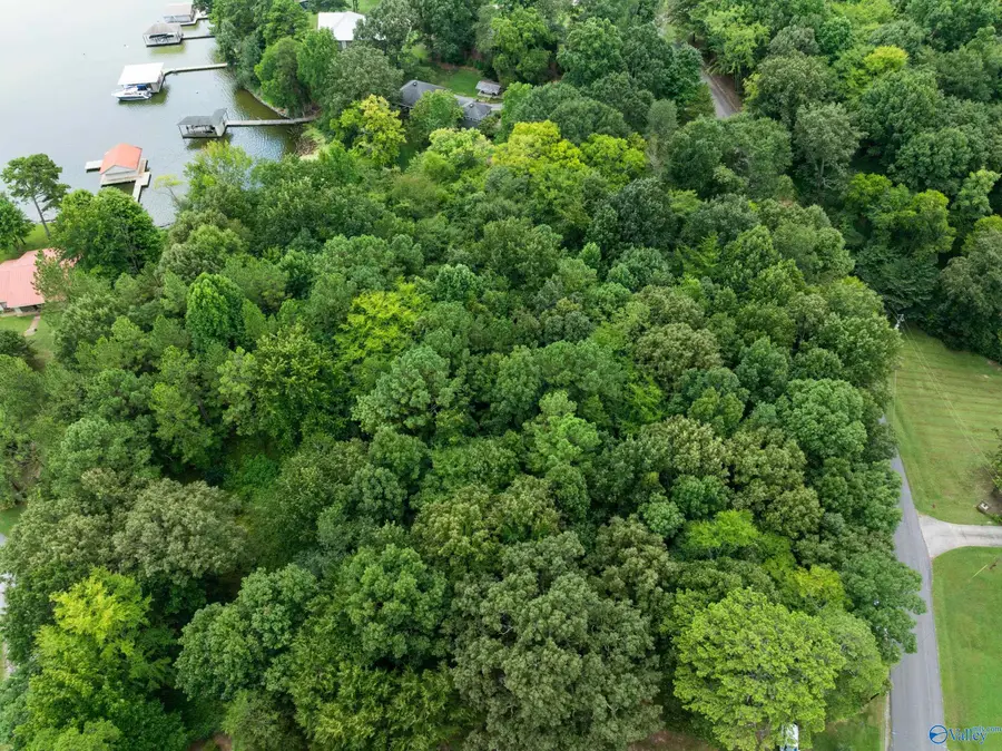 573 York Drive, Rogersville, AL 35652 - #2