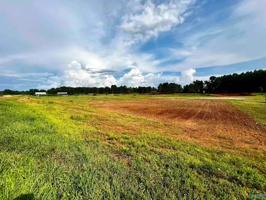 47 Hays Mill Road, Elkmont, AL 35620 - #2