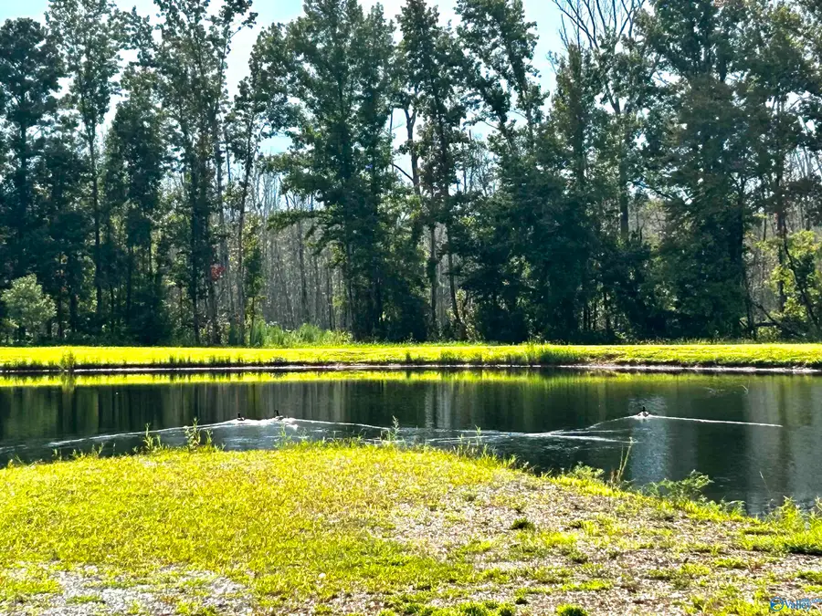 47 Hays Mill Road, Elkmont, AL 35620 - #3