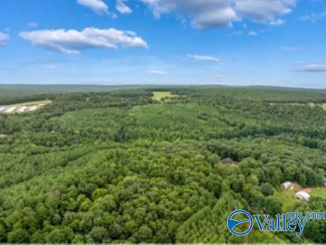 110 Acres Fischer Road, Fort Payne, AL 35967 - #2