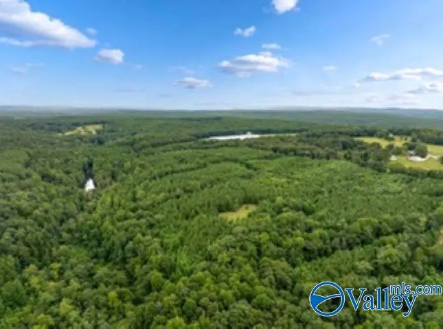 110 Acres Fischer Road, Fort Payne, AL 35967 - #3