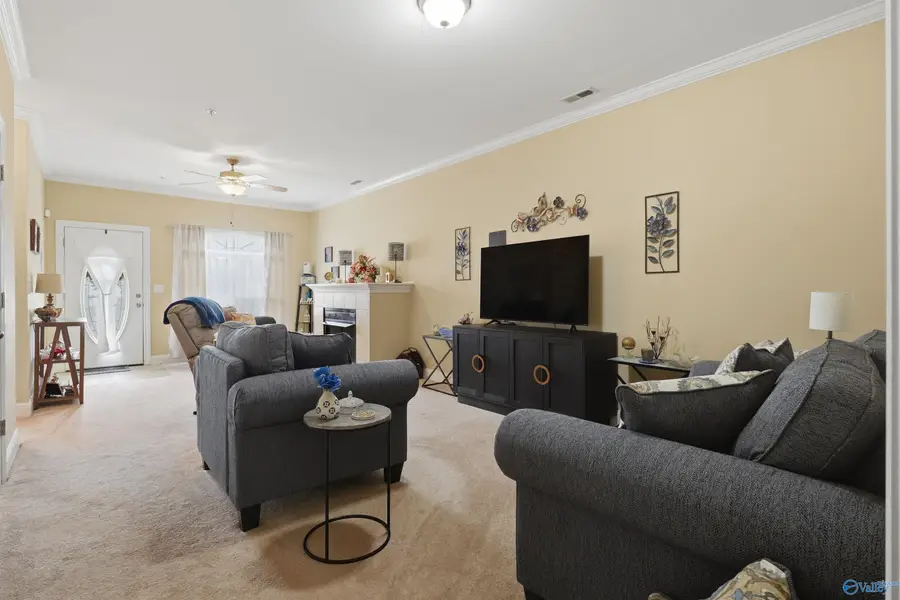 307 Cork Alley, Madison, AL 35758 - #3