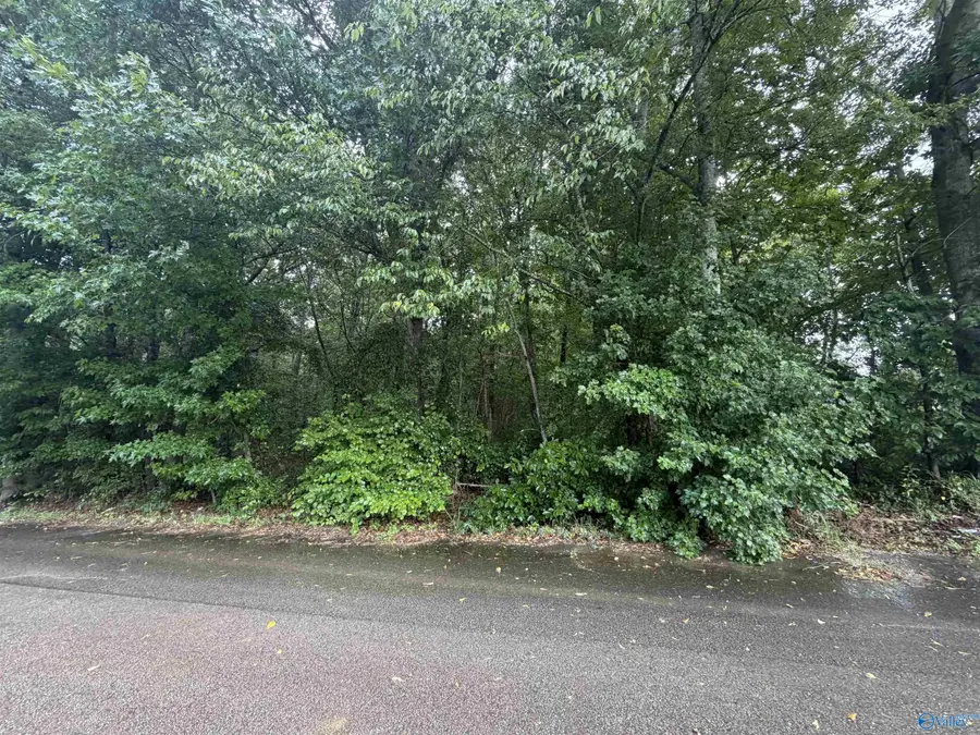 1 acre Honea Road, Hazel Green, AL 35750 - #3