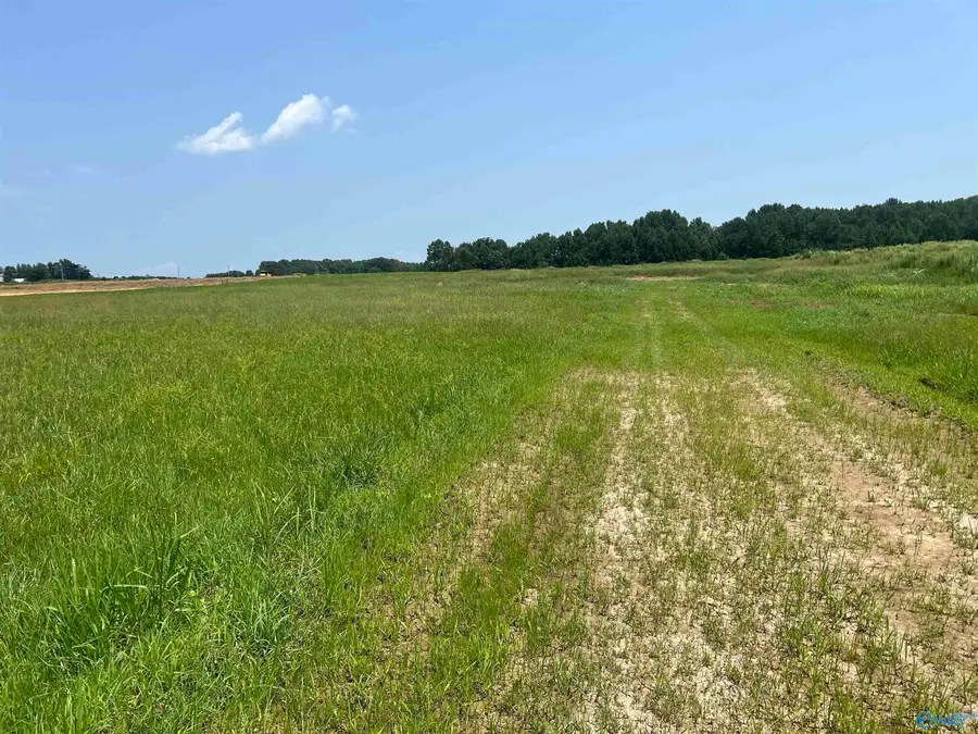 2.74 Acres Old School House Road, Ardmore, AL 35739 - #2