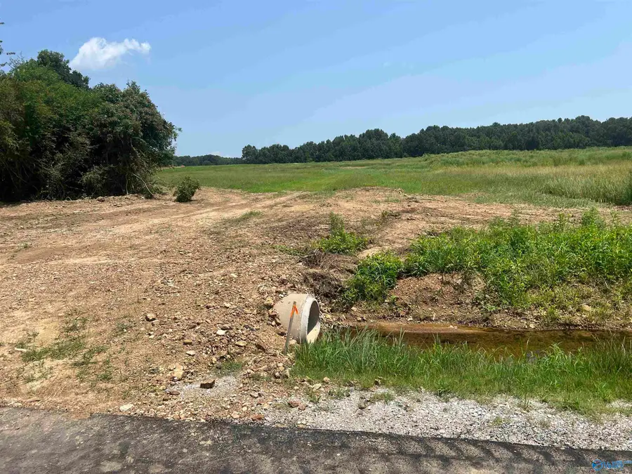 2.74 Acres Old School House Road, Ardmore, AL 35739 - #3