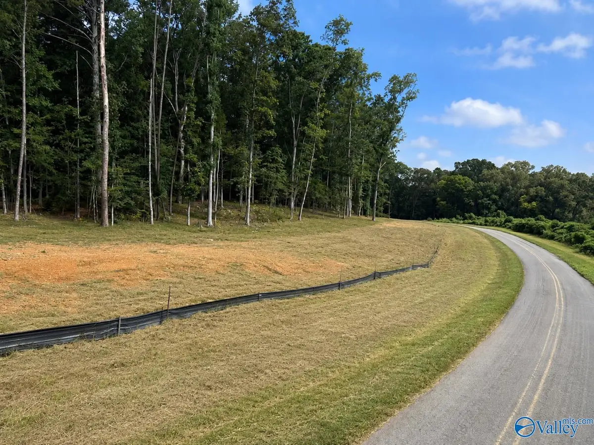 lot 10 County Road 114, Scottsboro, AL 35769 - #1