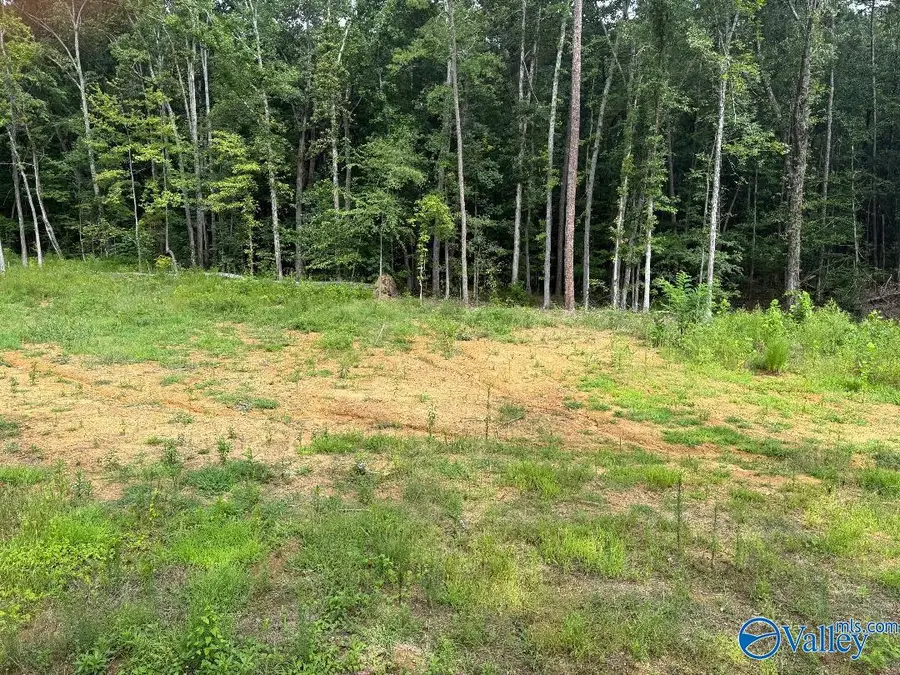 lot 10 County Road 114, Scottsboro, AL 35769 - #2